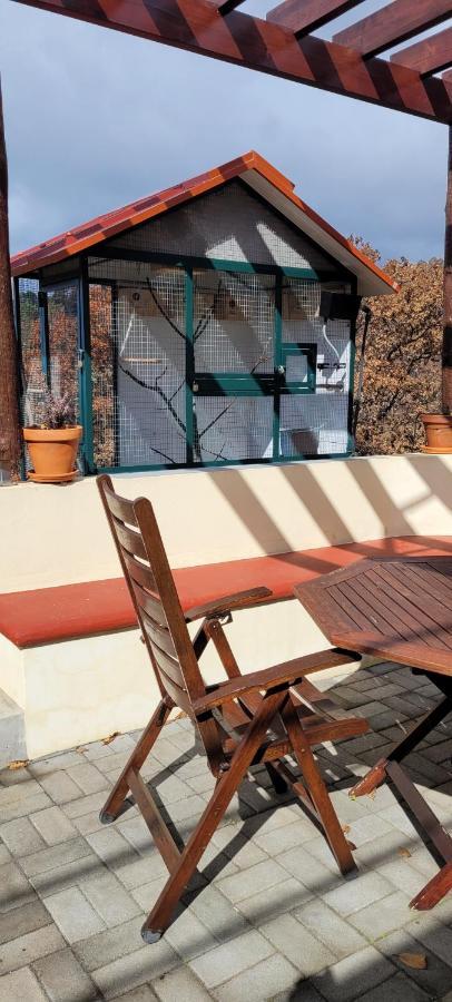 Sunset Refuge Apartment Fajã da Ovelha Exterior photo